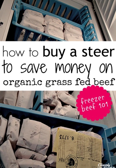 how to buy a steer to save money on organic grass fed beef