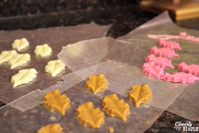 many colors of leaves for chocolate mold