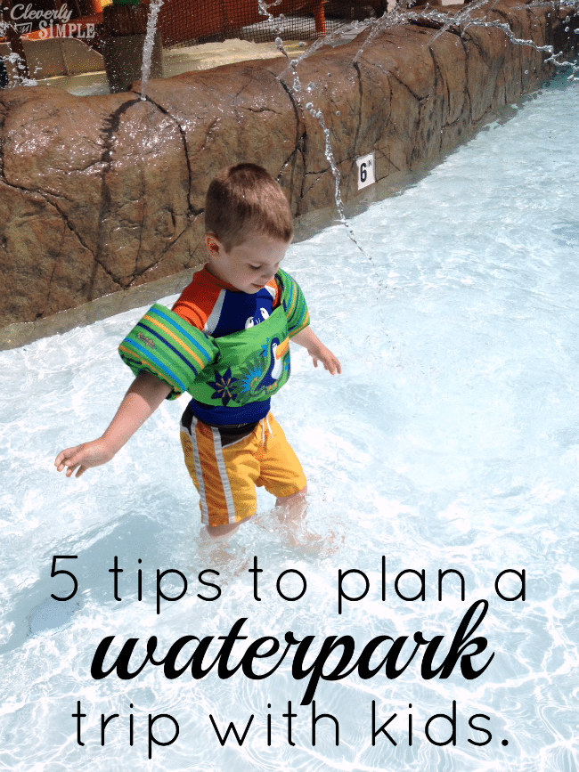 Top 5 tips to planning a fun water park trip with your kids. Zoombezi Bay.png