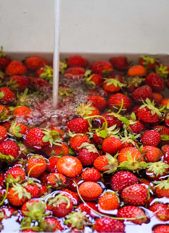 strawberries in sink being washed