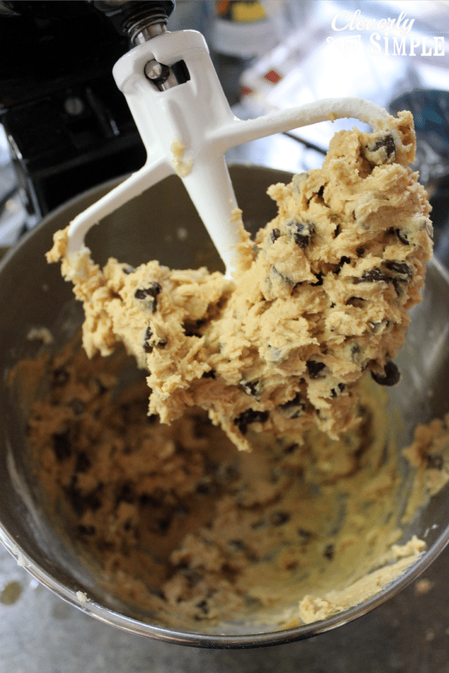 Chocolate Chip Cookie Recipe for Freezer Cooking Dough