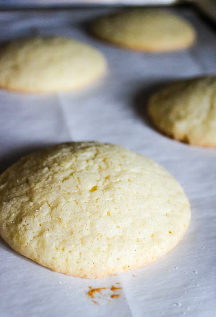 soft best easy sugar cookie recipe