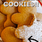 gingerbread cookies on plate