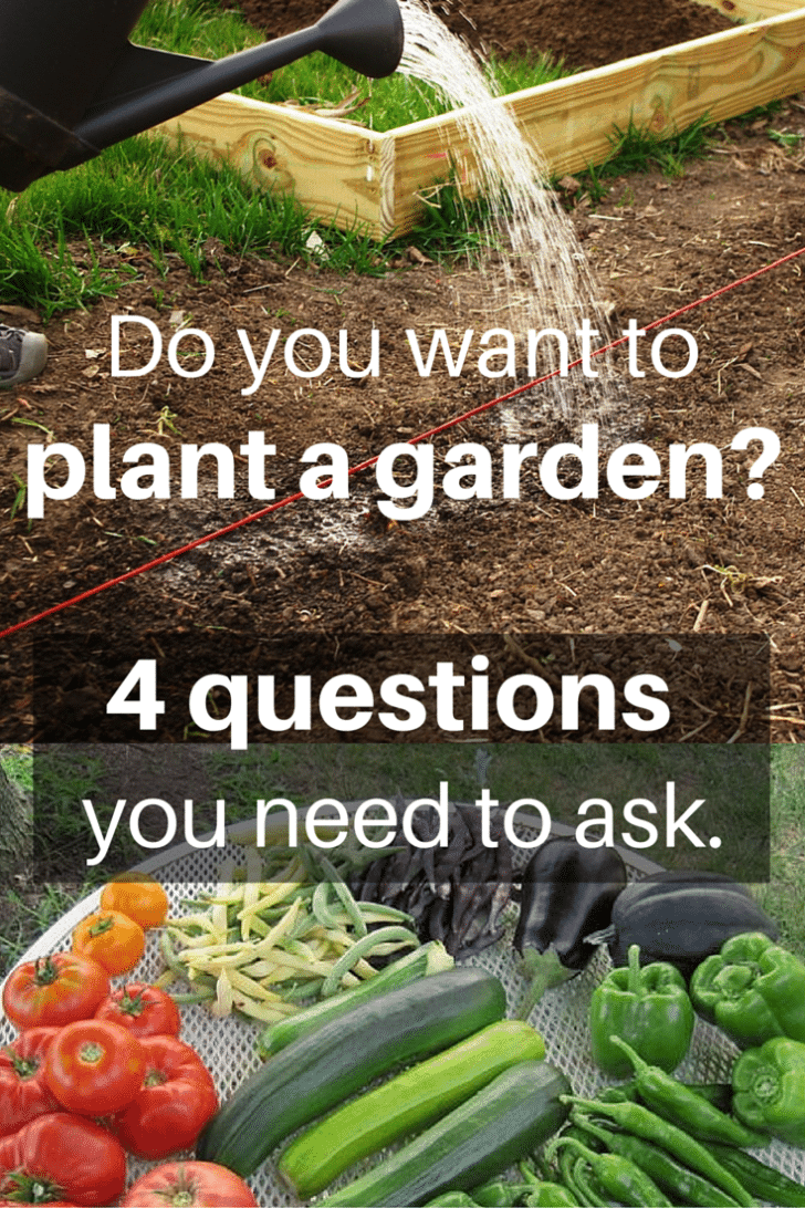 How to plant a garden