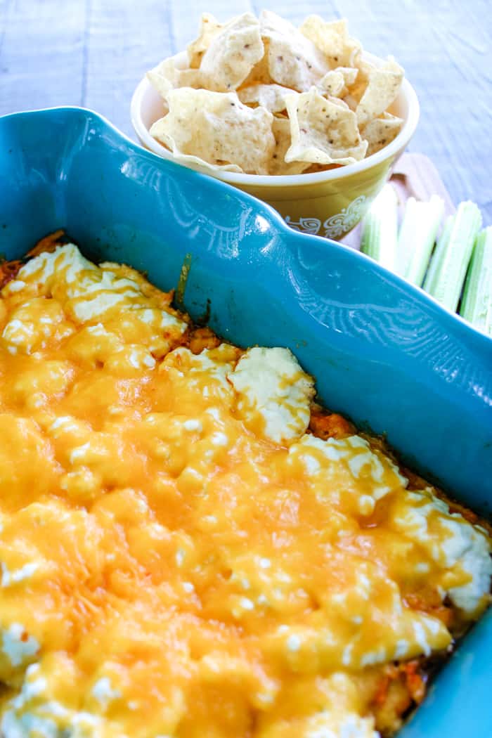 cheddar cheese layer for easy buffalo chicken dip