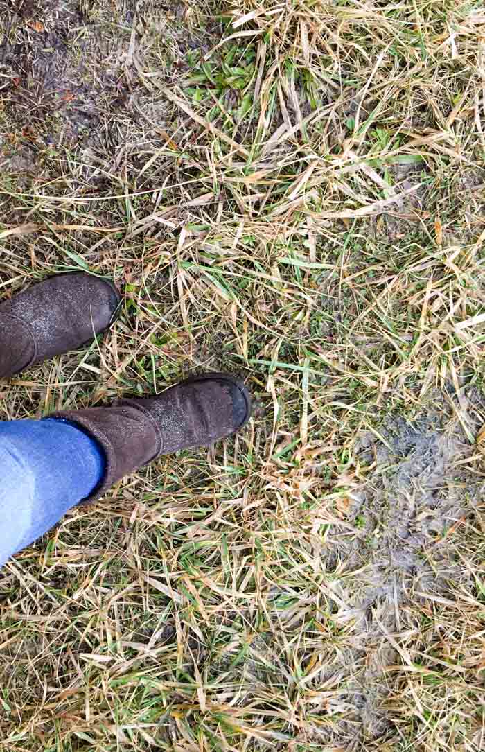 boots in mud