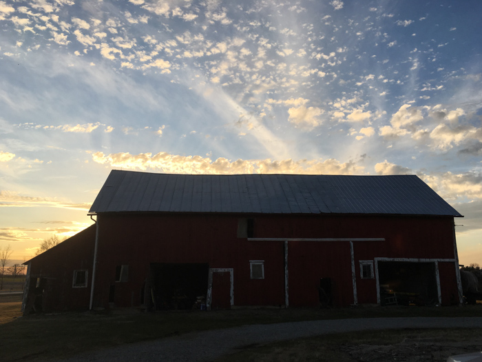 barn with sunlight