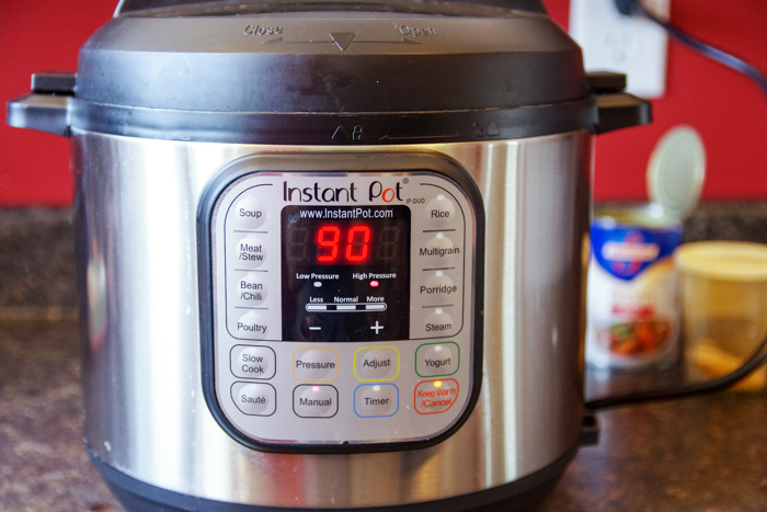 Instant Pot with settings to cook Venison Steak for 90 minutes