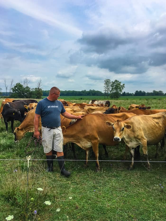 dairy farmer with cows
