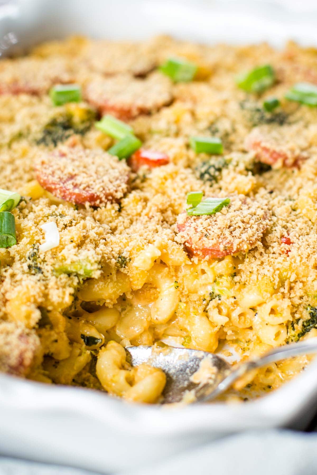 Macaroni Casserole (w/ Kielbasa Sausage) Cleverly Simple
