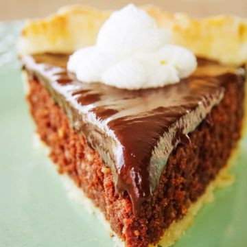 slice of chocolate coconut pie on plate