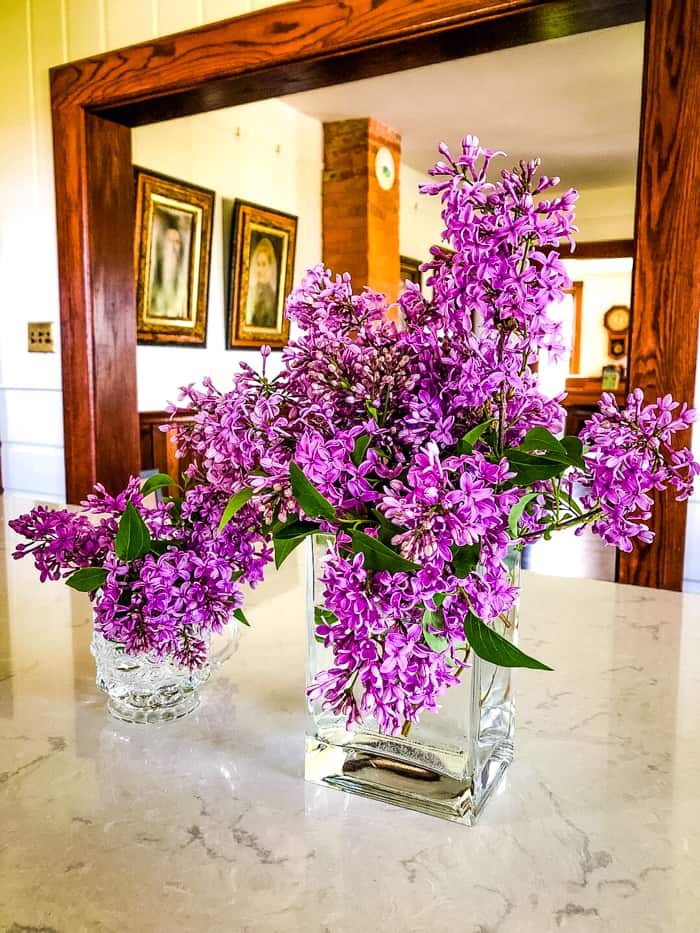 lilac flowers in vase