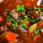 slow cooker venison stew in bowl