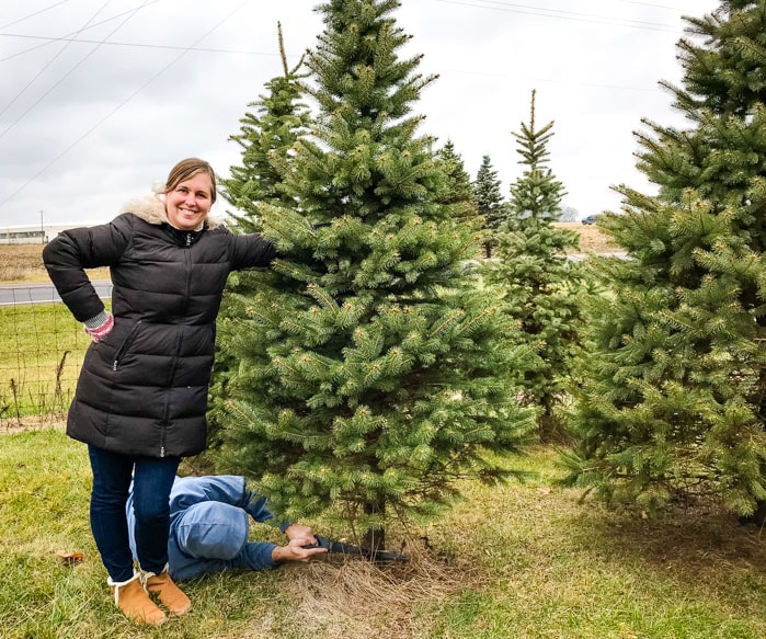 woman with man cutting down christmas tree