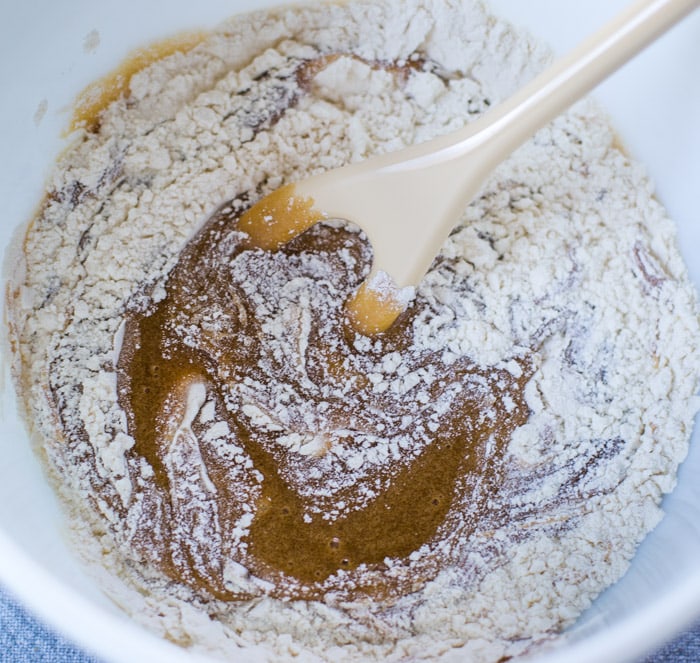 ingredients mixed in bowl