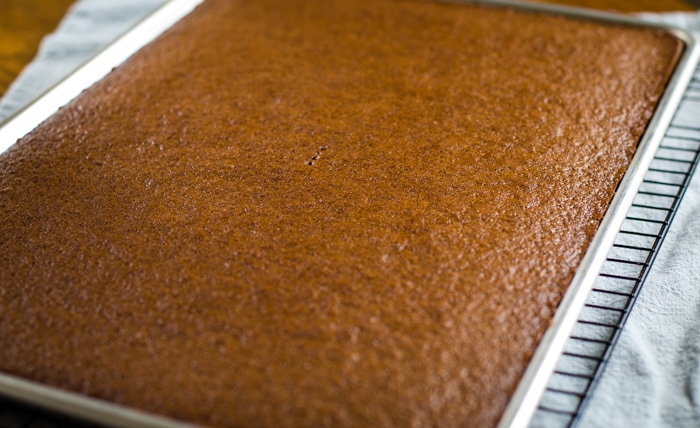 baked brownies in sheet pan