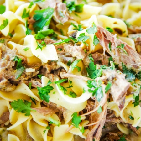 venison stroganoff in bowl