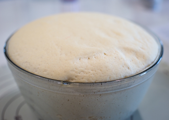 bread dough rise in glass bowl