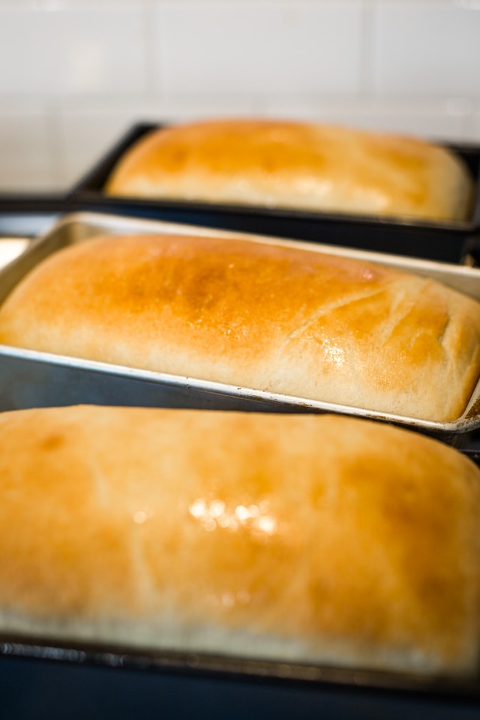 baked bread out of oven