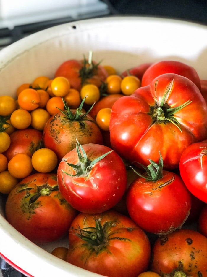 tomatoes in bowl