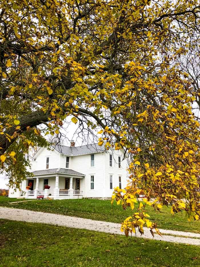 white farmhouse with yellow leaves on tree