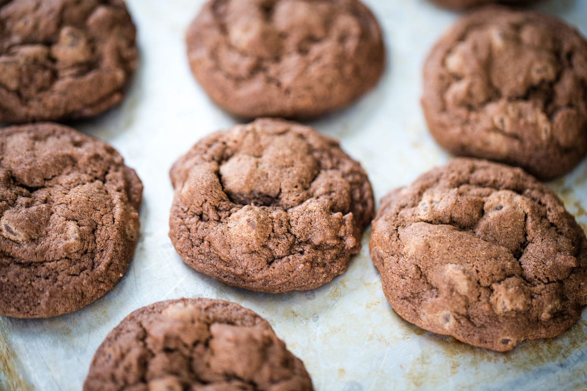 baked chocolate chocolate chip cookies