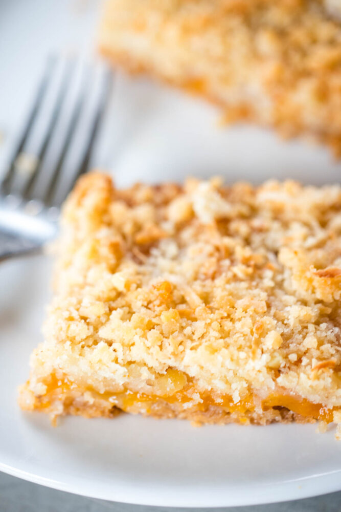 side view of apricot bars on plate with fork